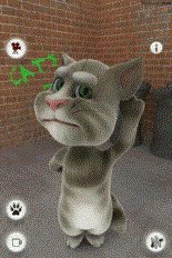 game pic for Talking Tom Cat Free